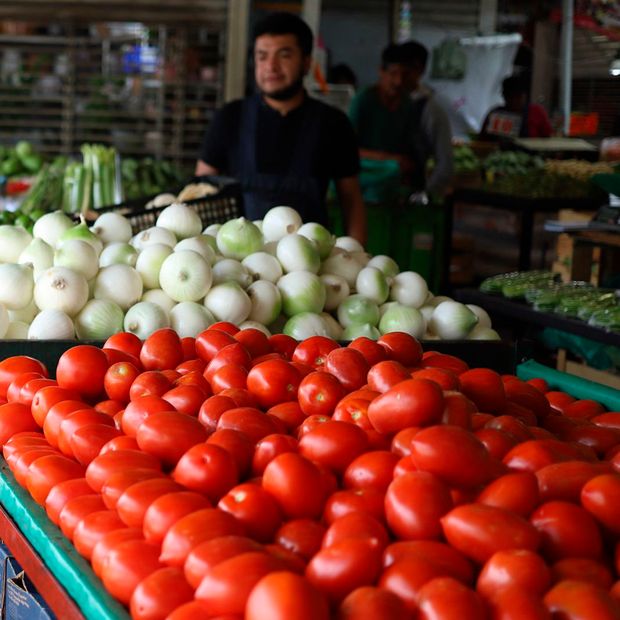 Cebolla y Jitomate Dispararon sus Precios: Suben Costo de la Canasta Alimentaria en México
